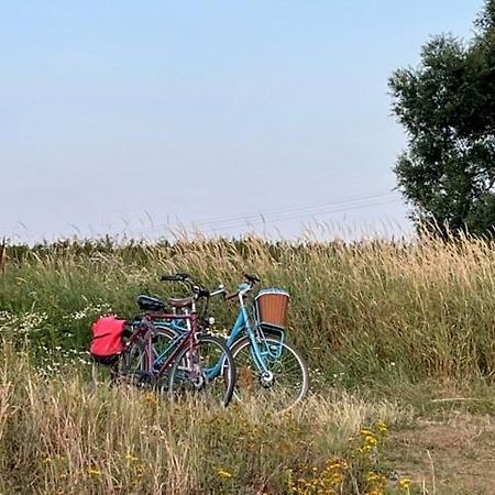 Lwb Ferienwohnung "Auszeit Im Denkmal" Wittenberg المظهر الخارجي الصورة